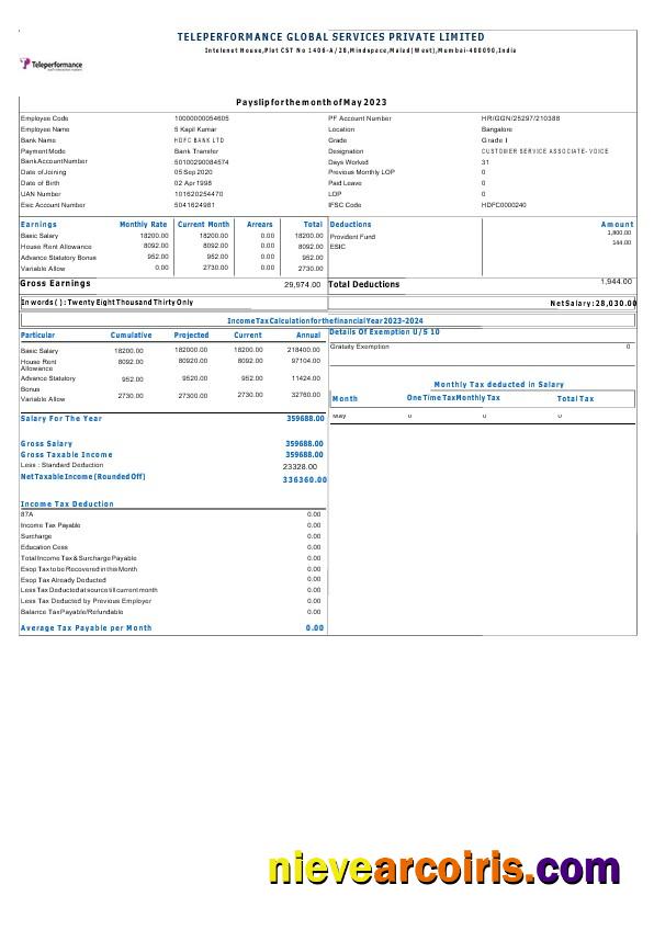 Teleperformance Global Services payslip